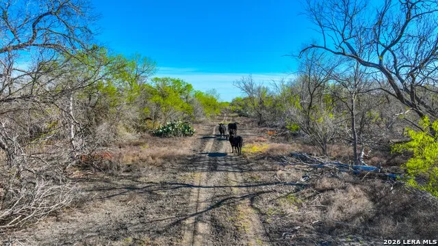 9521 Fm 1303 Floresville, TX 78114